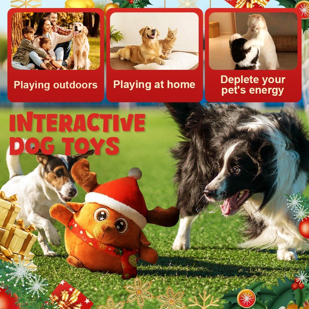 Fanyil™ Interactive Squeaky Dog Ball Toy