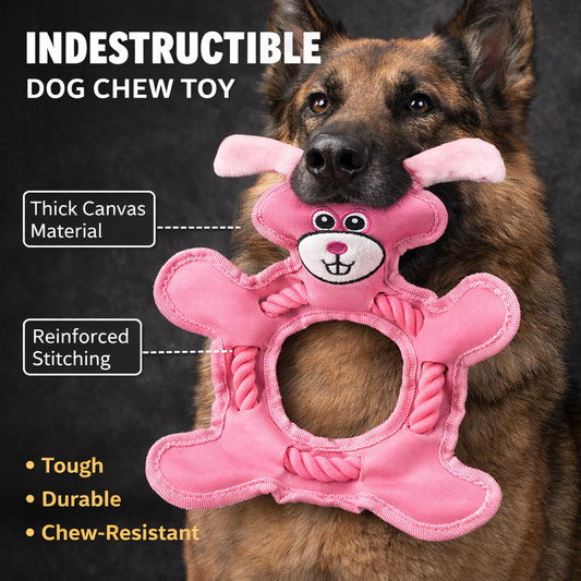 Fanyil™ TitanChew Frisbee Series