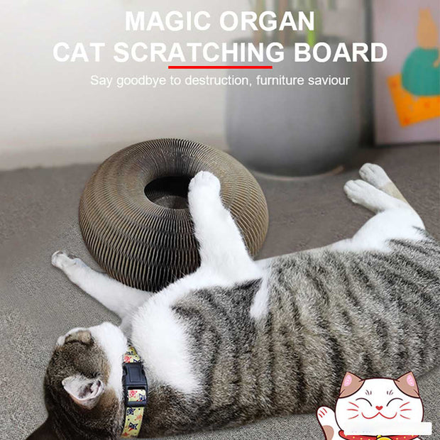 Libiyi Magic Organ Cat Scratch Board. - Libiyi