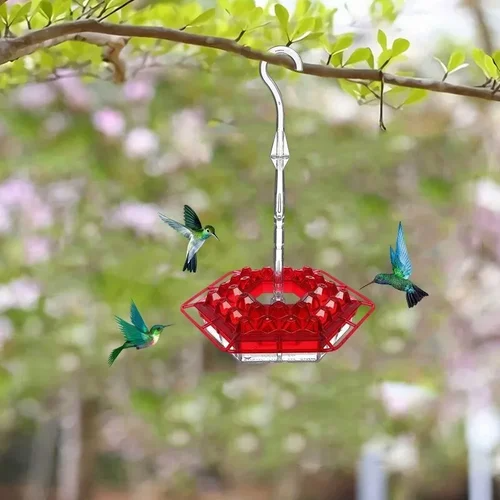 Ribili Sweety Hummingbird Feeder