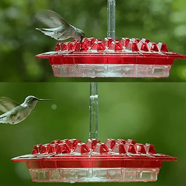 Fanyil Sweety Hummingbird Feeder